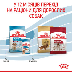 Купити Royal Canin Medium Puppy: Найкращий Сухий Корм для Цуценят Середніх Порід