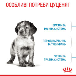 Купити Royal Canin Medium Puppy: Найкращий Сухий Корм для Цуценят Середніх Порід