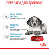 Купити Royal Canin Medium Puppy: Найкращий Сухий Корм для Цуценят Середніх Порід