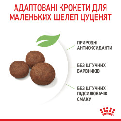 Купити Royal Canin Medium Puppy: Найкращий Сухий Корм для Цуценят Середніх Порід