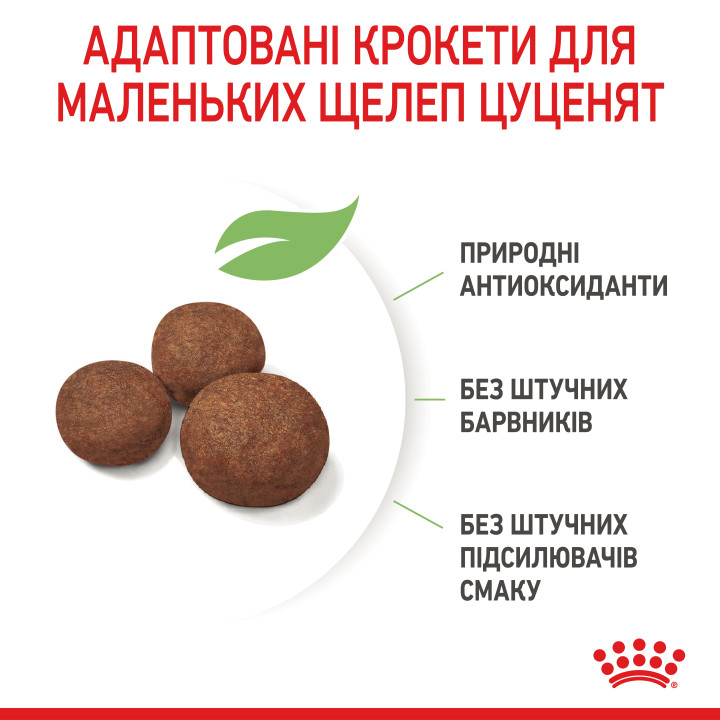 Купити Royal Canin Medium Puppy: Найкращий Сухий Корм для Цуценят Середніх Порід