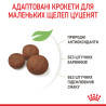 Купити Royal Canin Medium Puppy: Найкращий Сухий Корм для Цуценят Середніх Порід