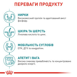 Royal Canin Ageing 11+ 0.085 кг - Вологий корм для літніх котів від 11 років