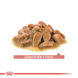 Royal Canin Ageing 11+ 0.085 кг - Вологий корм для літніх котів від 11 років