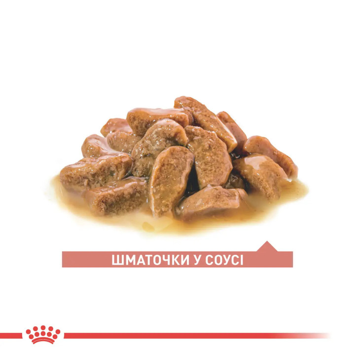 Royal Canin Ageing 11+ 0.085 кг - Вологий корм для літніх котів від 11 років