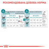 Royal Canin Ageing 12+ - корм для зрілих котів від 12 років 2 кг