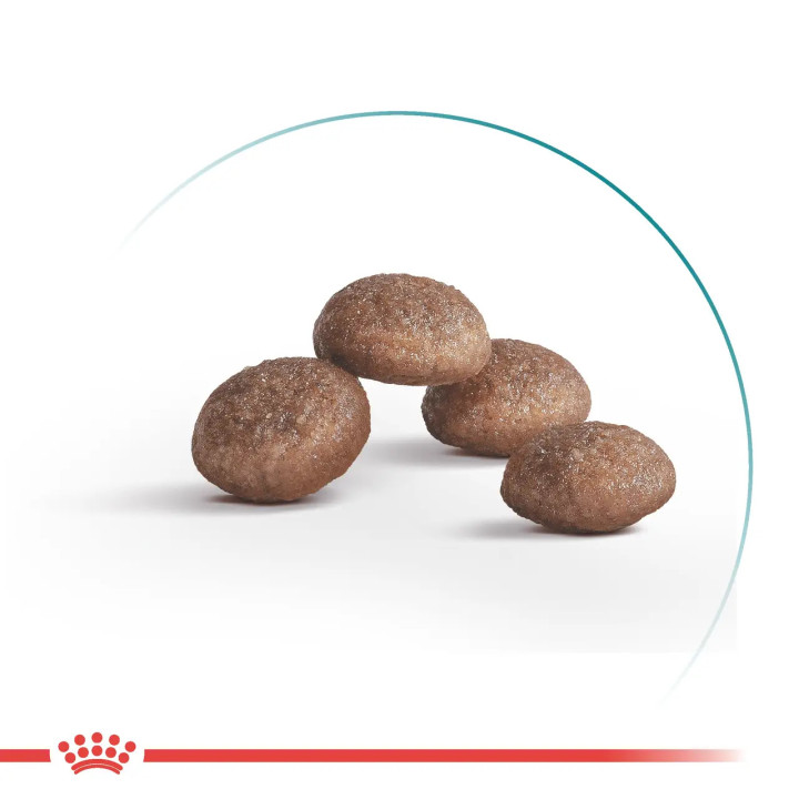 Royal Canin Ageing 12+ - корм для зрілих котів від 12 років 2 кг