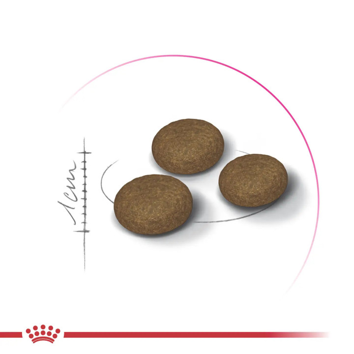 Royal Canin Exigent Fussy 4 кг - Корм для котів  з вибагливим апетитом