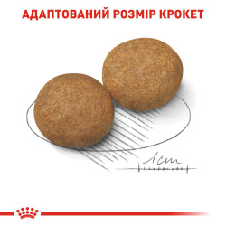 Купуйте Royal Canin Medium Adult для собак середніх порід в інтернет-магазині