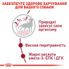 Купуйте Royal Canin Medium Adult для собак середніх порід в інтернет-магазині