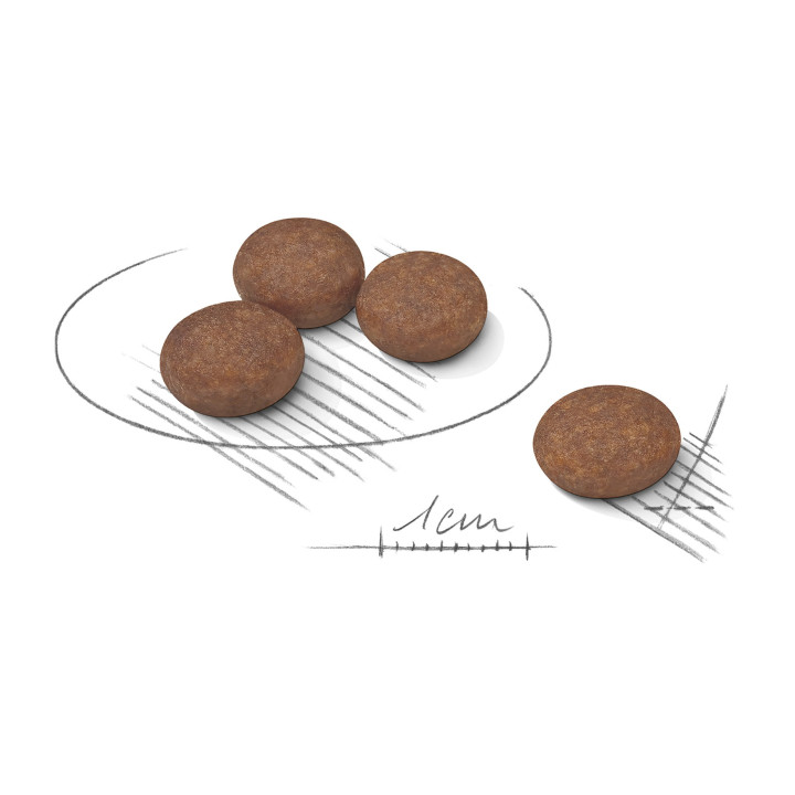 Mini Digestive Care 3 кг