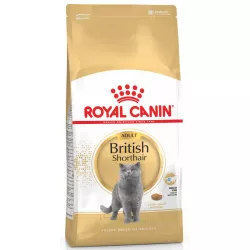 British Shorthair Adult 4 кг | Royal Canin | Сухий корм для дорослих котів британська короткошерста