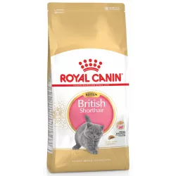 Kitten British Shorthair 0.4 кг | Royal Canin | Сухий корм для кошенят Британська Короткошерста