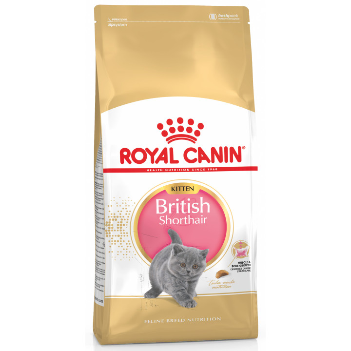 Royal Canin Kitten British Shorthair 10 кг для британських короткошерстих кошенят - оптимальний розвиток і здоров'я