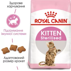 Royal Canin Kitten Sterilised: Повноцінне Харчування для Стерилізованих Кошенят