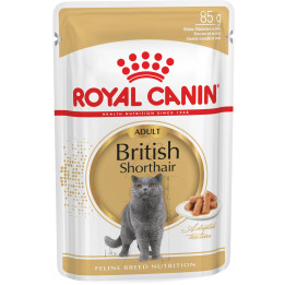 Royal Canin British Shorthair Adult: корм для британської короткошерстої  паучі 0,085 кг