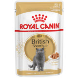 Royal Canin British Shorthair Adult: корм для британської короткошерстої  паучі 0,085 кг