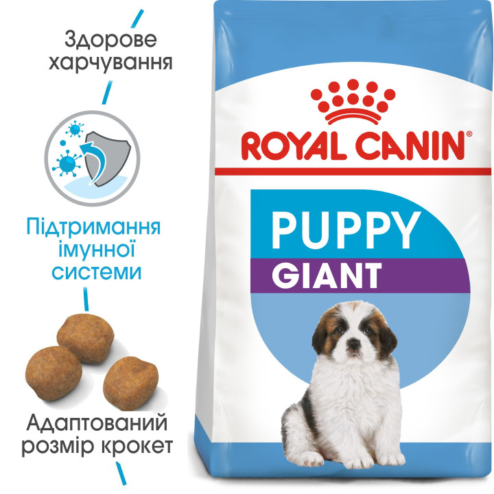 Royal Canin Giant Puppy - Найкращий Корм для Цуценят великих Порід