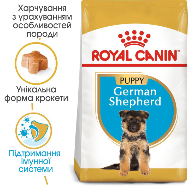 German Shepherd Puppy 12 кг