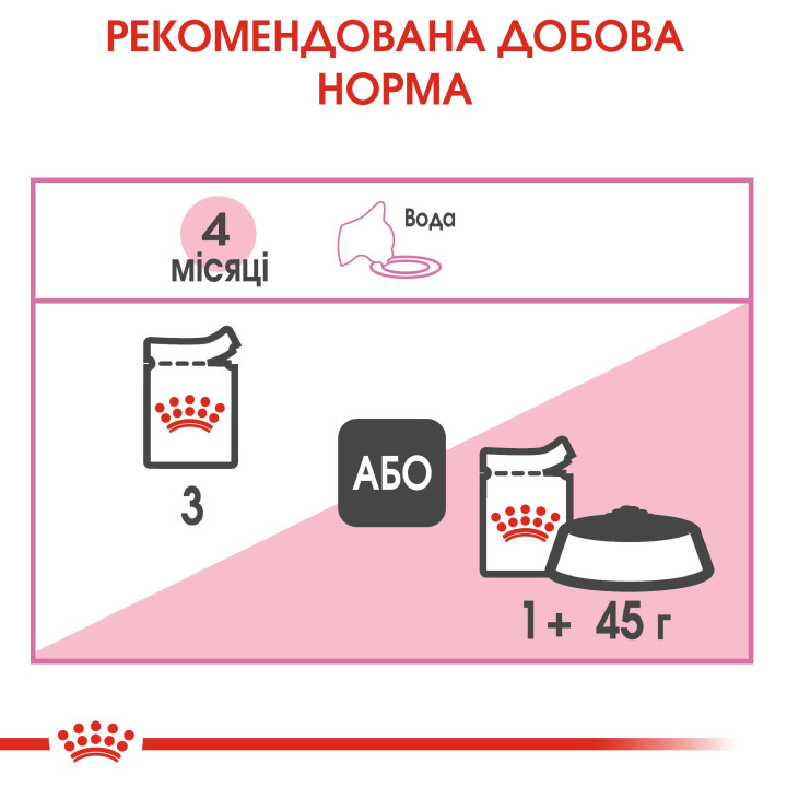 Royal Canin Kitten Gravy - вологий корм для кошенят до 12 місяців