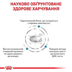 Royal Canin Hypoallergenic: корм для собак з небажаною реакцією на їжу з гідролізованими білками та захисною функцією шкіри 2 кг