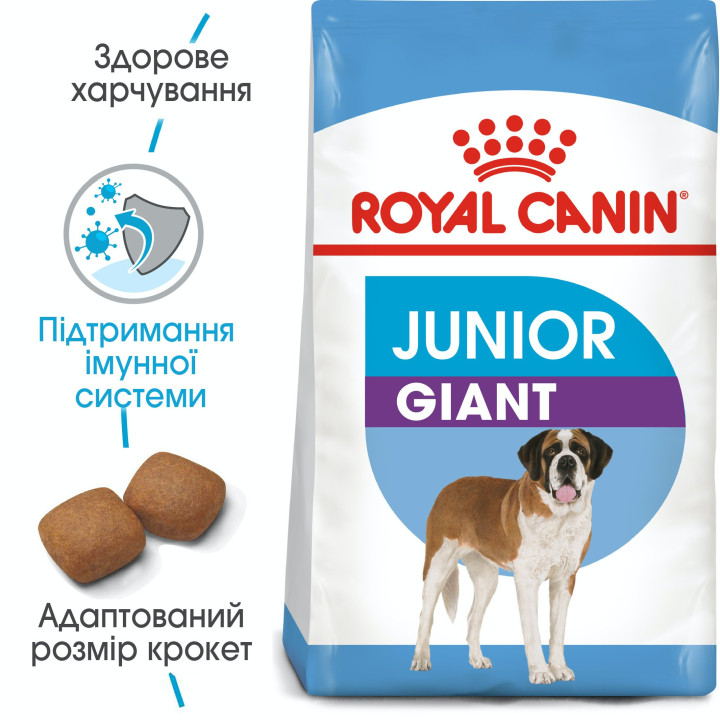 Royal Canin Giant Junior: захист і розвиток для цуценят великих порід