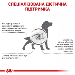 Royal Canin Gastro Intestinal Dog 15 кг, сухий корм для собак, порушення травлення, відновлення здоров'я