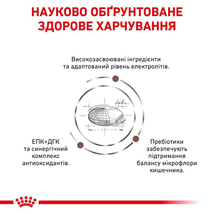 Royal Canin Gastro Intestinal Dog 15 кг, сухий корм для собак, порушення травлення, відновлення здоров'я