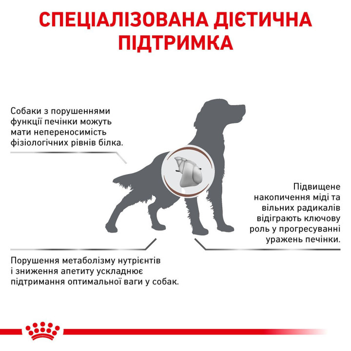 Hepatic Dog 12 кг