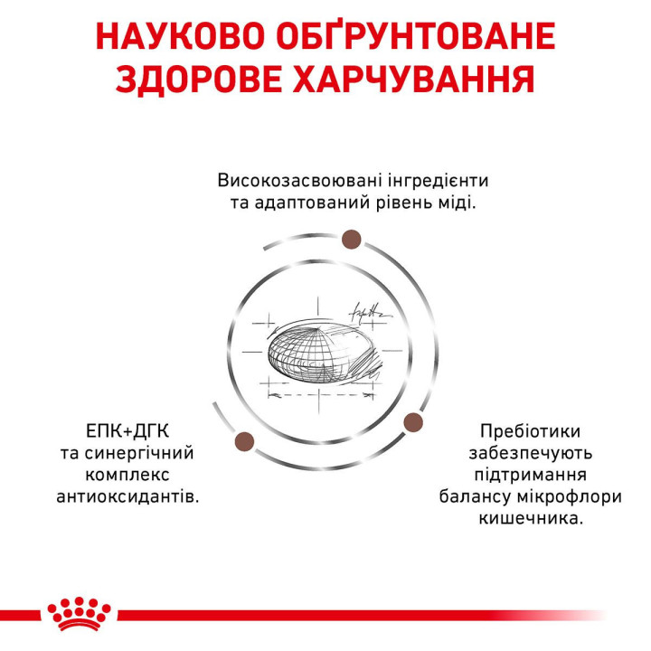 Royal Canin Hepatic: дієтичний корм для котів з захворюваннями печінки 2 кг