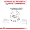 Royal Canin Hepatic: дієтичний корм для котів з захворюваннями печінки 4 кг