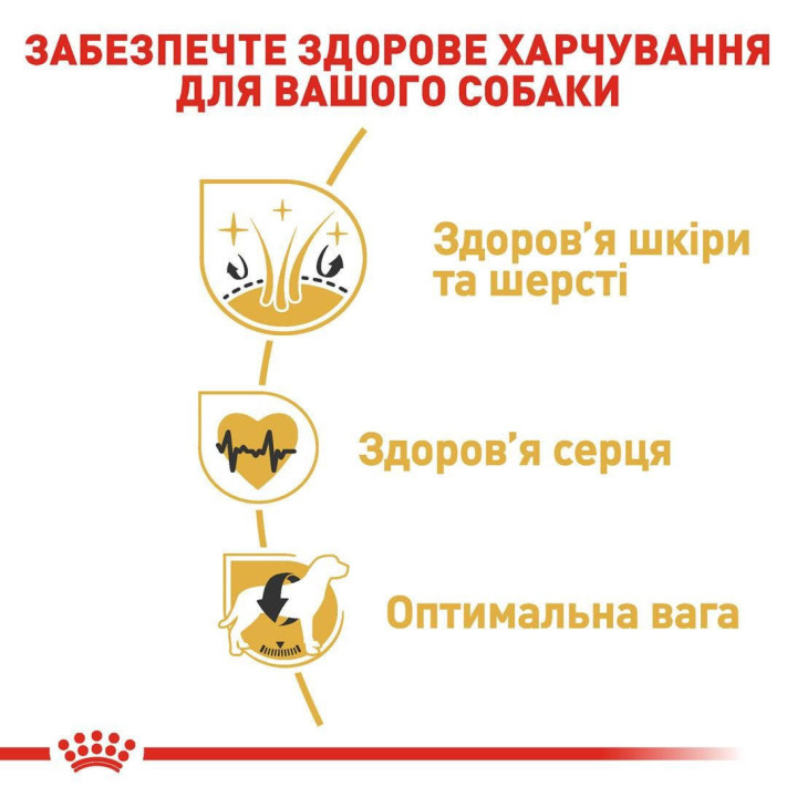 Golden Retriever Adult 12 кг