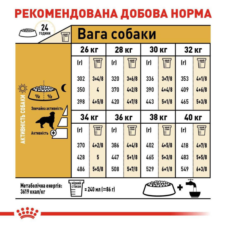 Golden Retriever Adult 12 кг