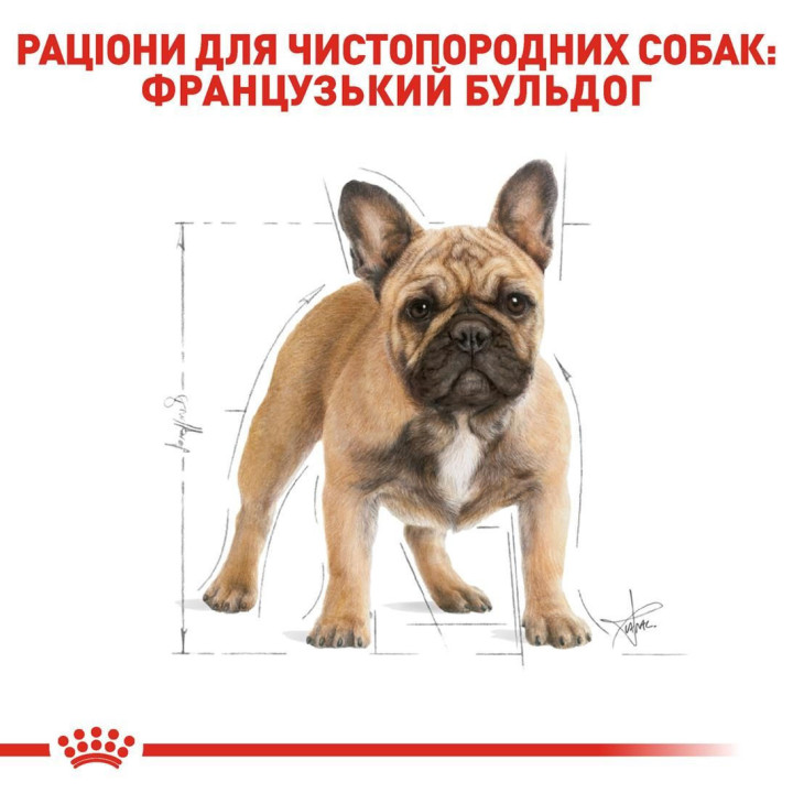 French Bulldog Adult 1,5 кг