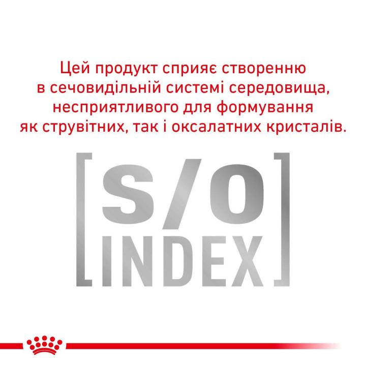 Royal Canin Urinary S/O: вологий корм для котів