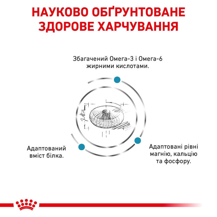 Royal Canin Skin And Coat Cat 3.5 кг - Сухий Корм Для Котів