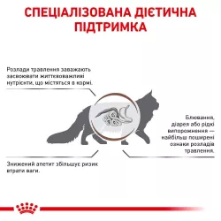 Корм Royal Canin GASTRO INTESTINAL CAT для котів 2 кг