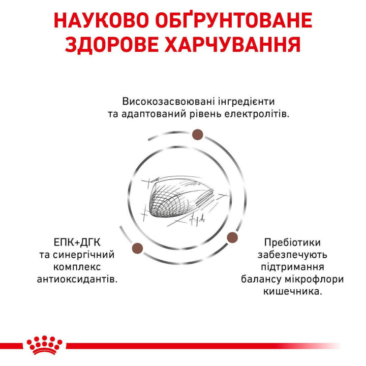 Корм Royal Canin GASTRO INTESTINAL CAT для котів 2 кг