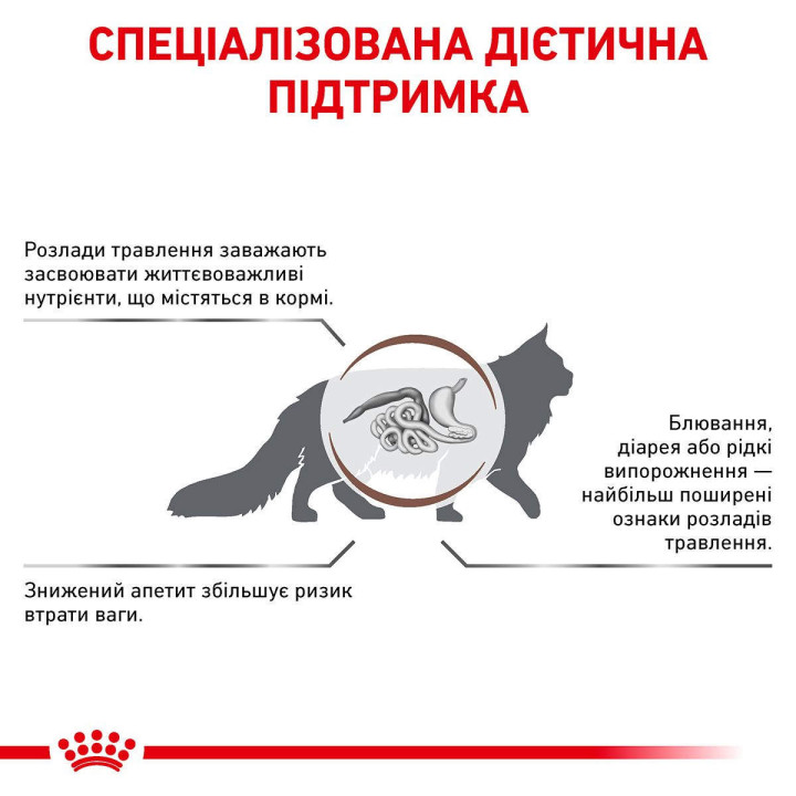 Корм Royal Canin GASTRO INTESTINAL CAT для котів 4 кг