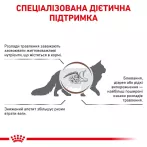 Корм Royal Canin GASTRO INTESTINAL CAT для котів 4 кг