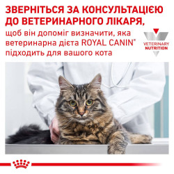Satiety Weight Management Cat (Шматочки У Соусі) 0.085 кг