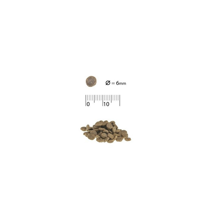 Acana Wild Prairie Cat Для Котів Всіх Порід Та Всіх Стадій Життя З Курчам Та Індичкою 1,8 кг