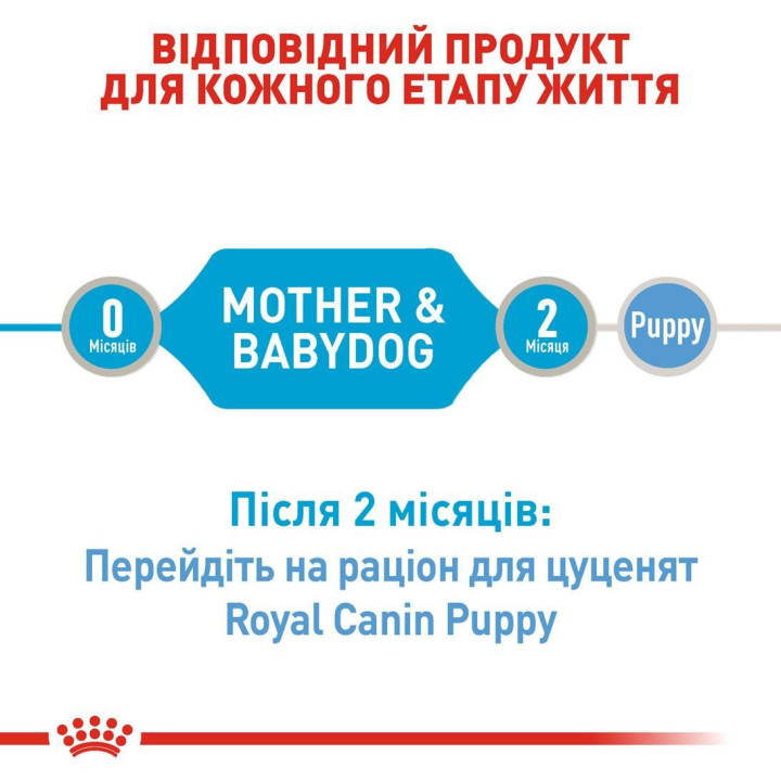 Royal Canin Starter Mousse Mother & Babydog корм