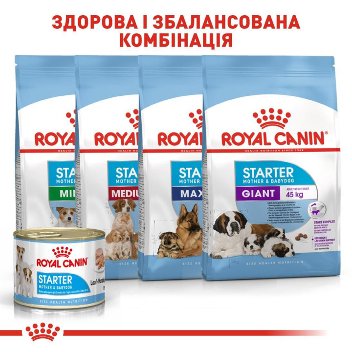 Royal Canin Starter Mousse Mother & Babydog корм