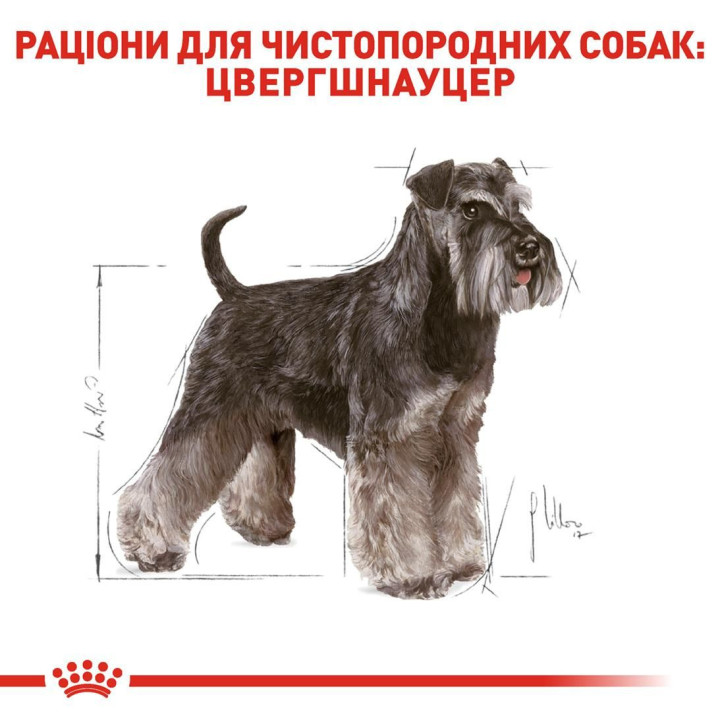 Schnauzer Adult 7,5 кг