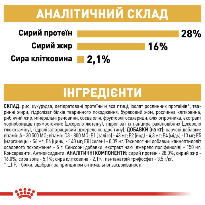 Купити Royal Canin Chihuahua Adult – Оптимальний Корм для Чихуахуа