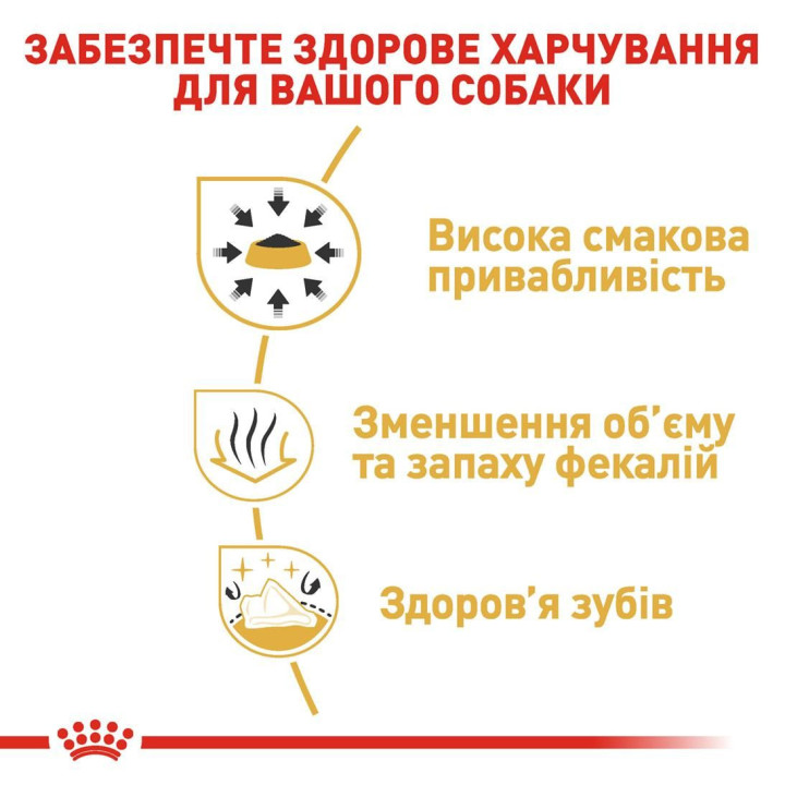 Купити Royal Canin Chihuahua Adult – Оптимальний Корм для Чихуахуа