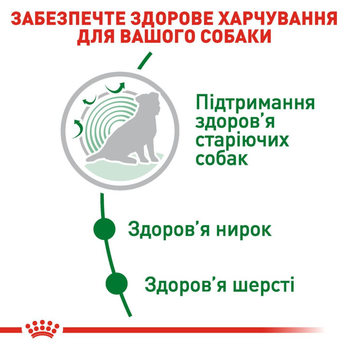Mini Ageing 12+ 0.8 кг