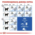 Купити 0.4 кг Royal Canin INDOOR для дорослих котів - оптимальний догляд вдома