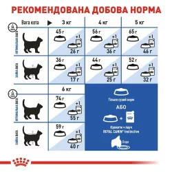 Купити 2 кг Royal Canin INDOOR для дорослих котів - оптимальний догляд вдома